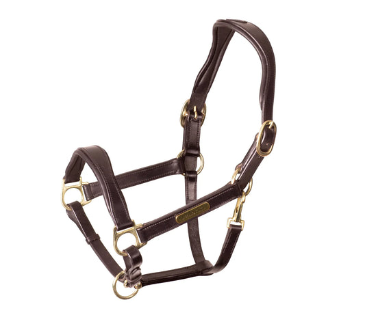 Velociti Rapida Cushioned Leather Halter