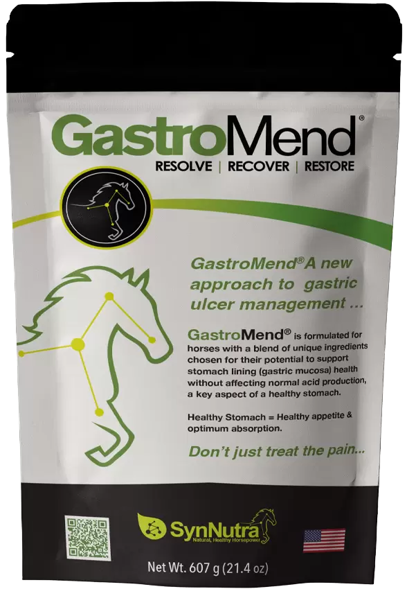 SynNutra GastroMend – Gastric Health Supplement for Horses