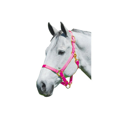 Nylon Adjustable Horse Halter -1"