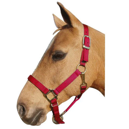 Nylon Adjustable Horse Halter -1"