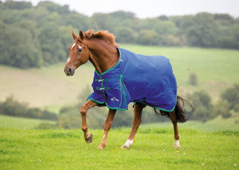 Shires Highlander Plus 200 Standard Neck Horse Blanket