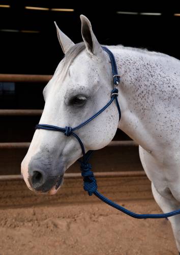 PC Easy On Rope Halter