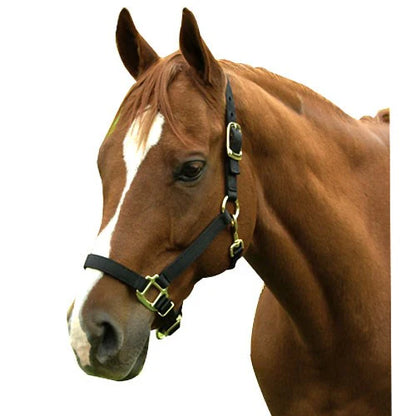 Nylon Adjustable Horse Halter -1"