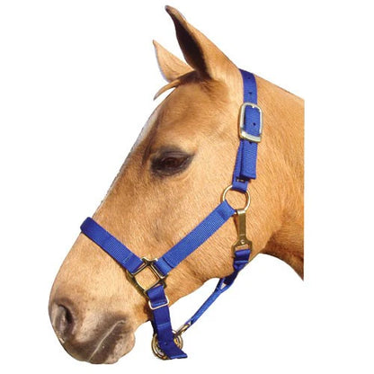 Nylon Adjustable Horse Halter -1"